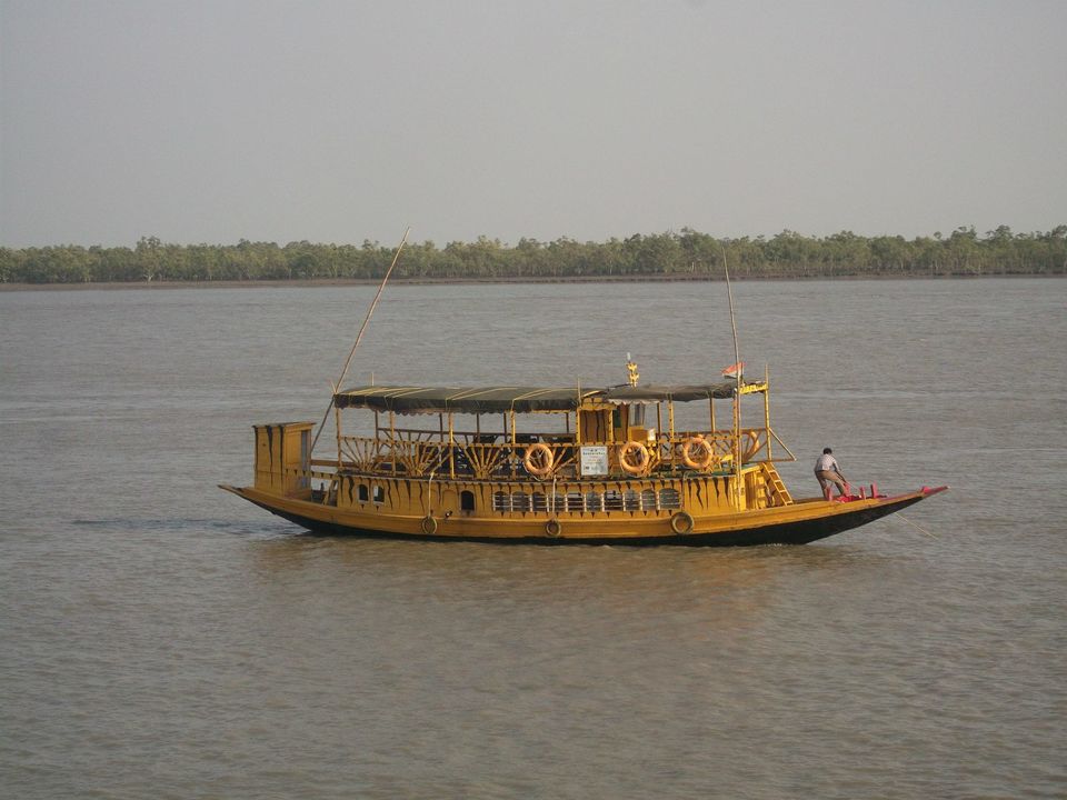 Photo of Sunderban_One And Only Mangrove's 5/12 by Saurabh Shukla