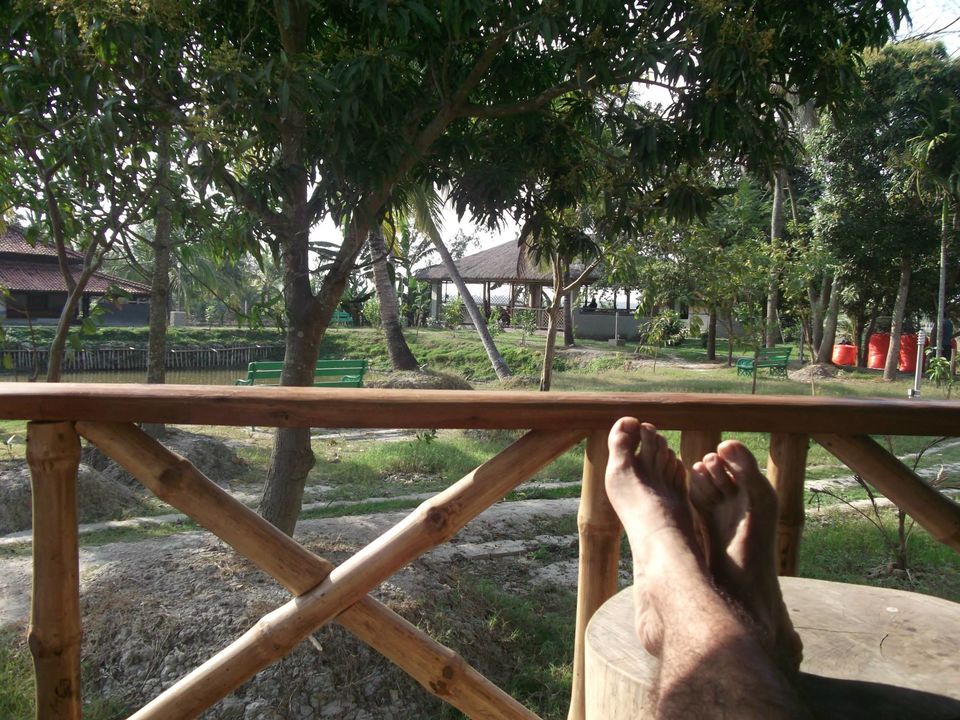 Photo of Sunderban_One And Only Mangrove's 2/12 by Saurabh Shukla