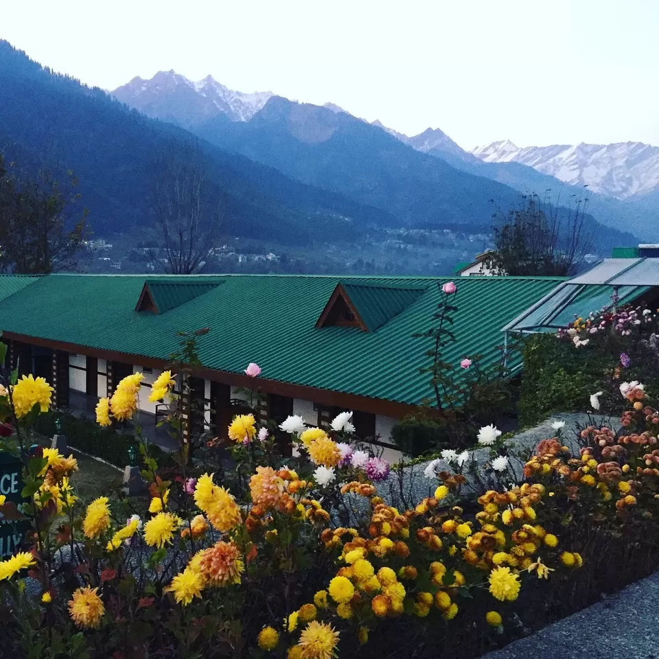 Photo of Club Mahindra White Meadows, Prini, Manali, Himachal Pradesh, India by Saurabh Shukla