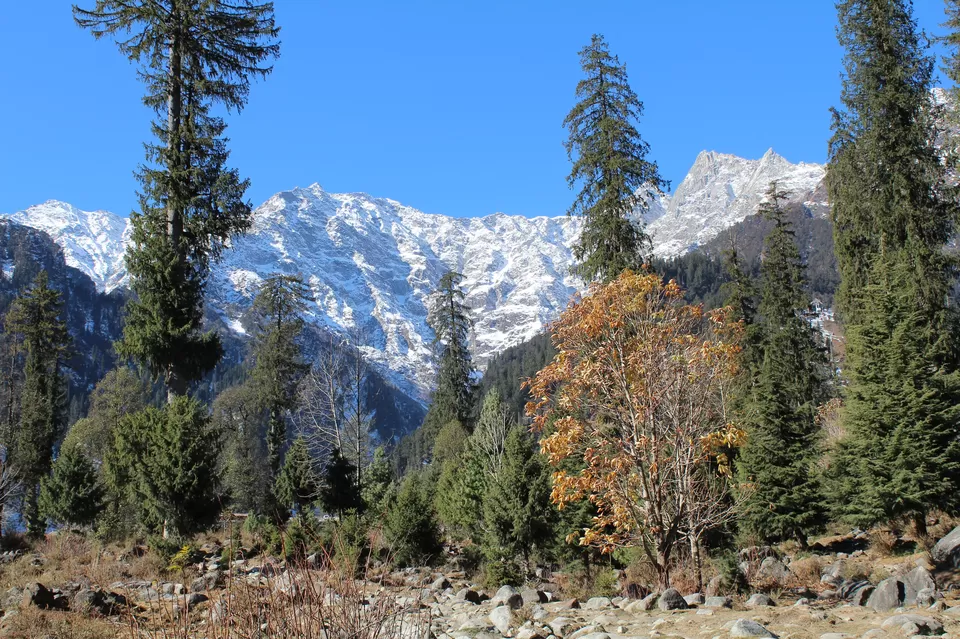 Photo of Manali : "No matter how tall the mountain is, it cannot block the sun." by Saurabh Shukla