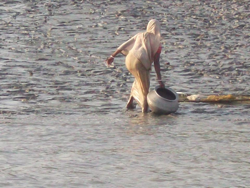 Photo of Sunderban_One And Only Mangrove's 9/12 by Saurabh Shukla