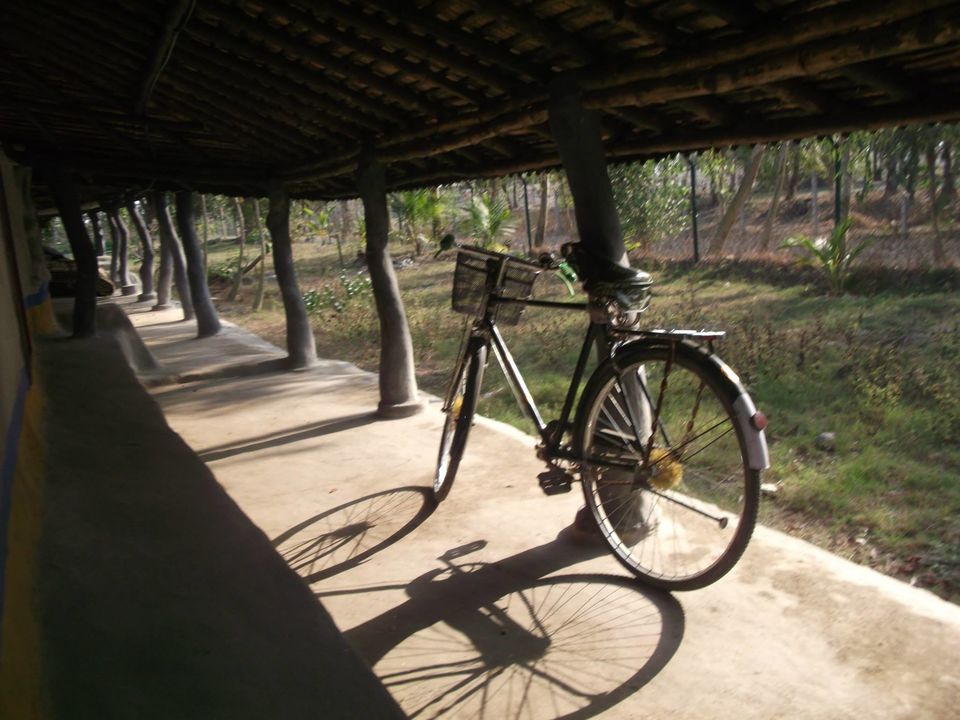 Photo of Sunderban_One And Only Mangrove's 4/12 by Saurabh Shukla