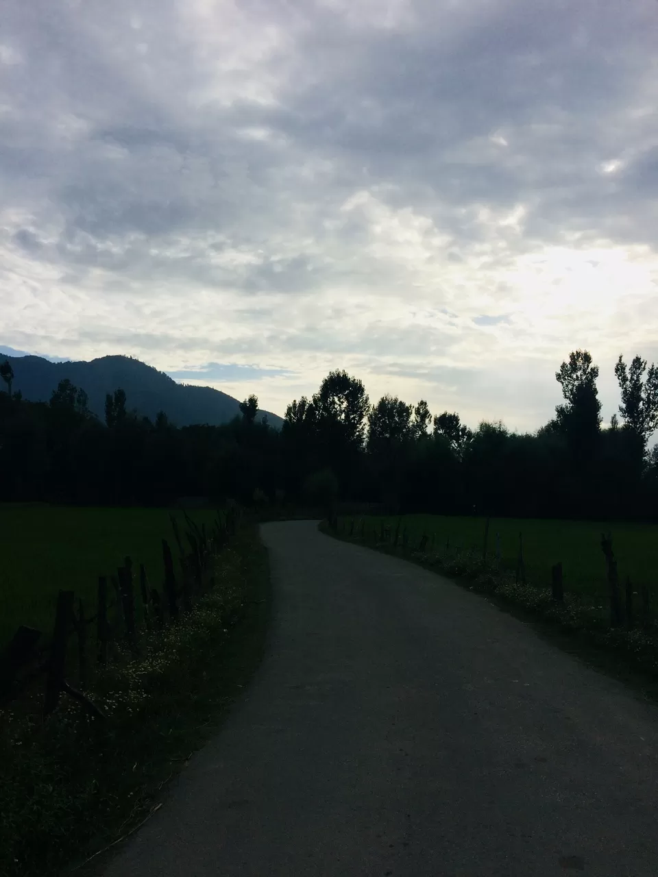 Photo of Srinagar by Nibedita Saha 