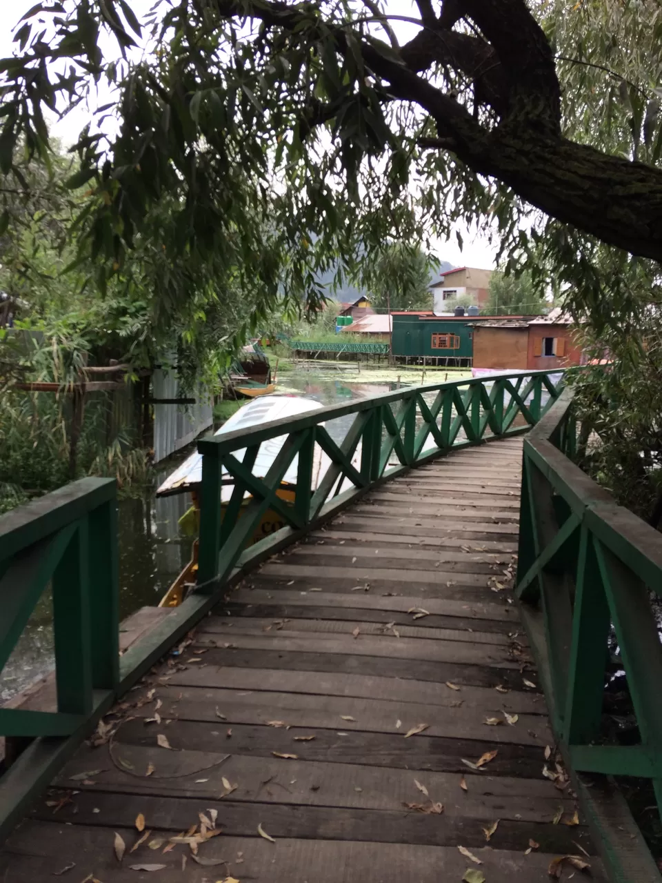 Photo of Srinagar by Nibedita Saha 