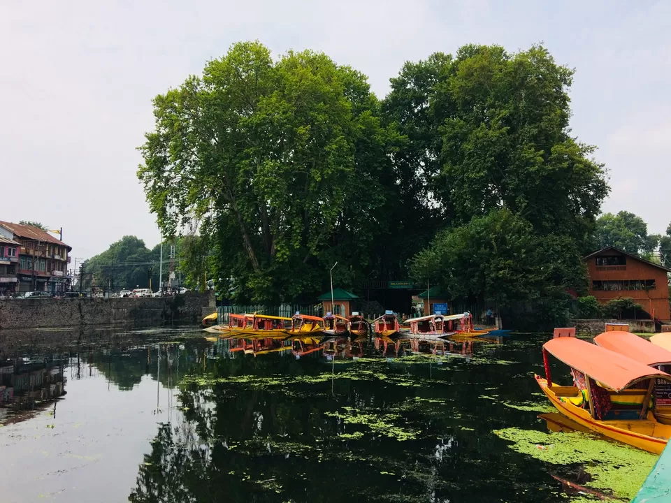 Photo of Srinagar by Nibedita Saha 