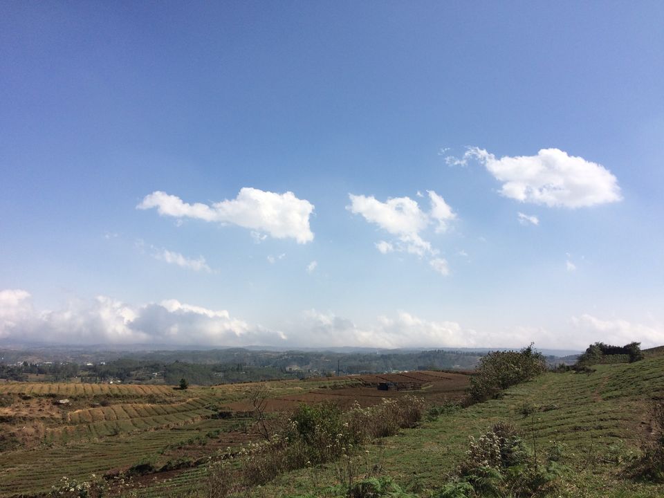 Photo of Half Filled, Half Empty #northeastitinerary by Nibedita Saha