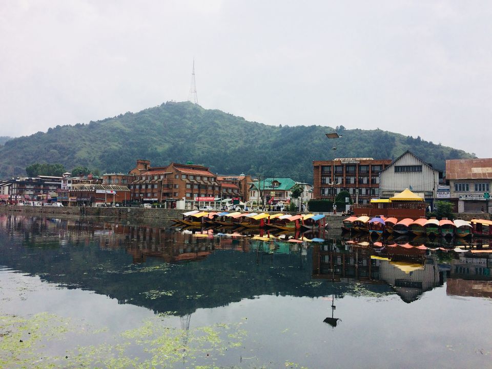 Photo of I had no plans and it happened to be Kashmir by Nibedita Saha