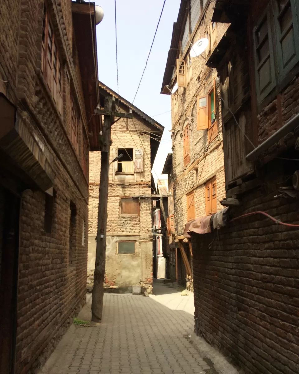 Photo of Srinagar by Nibedita Saha 