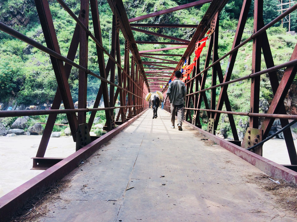Photo of The Journey of Self-exploration by Nibedita Saha