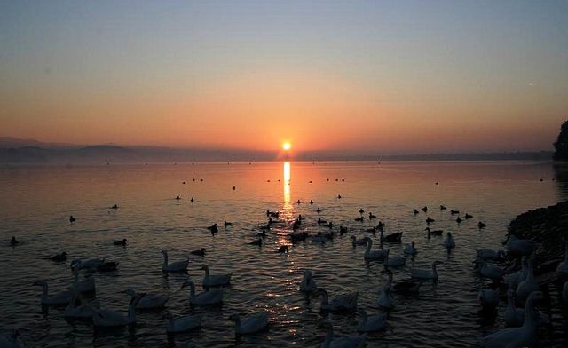 Photo of THE CITY BEAUTIFUL 3/6 by Shraiya Singh Thakur