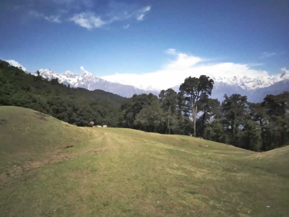 Photo of Gorson Bugyal, Auli Laga Salude, Uttarakhand, India by Biswadip Chattopadhyay