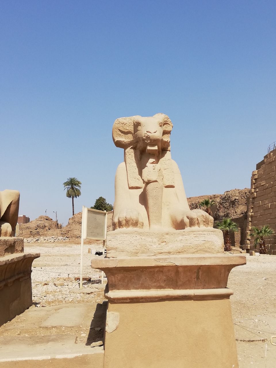 Photo of Egypt: The dream destination by Biswadip Chattopadhyay