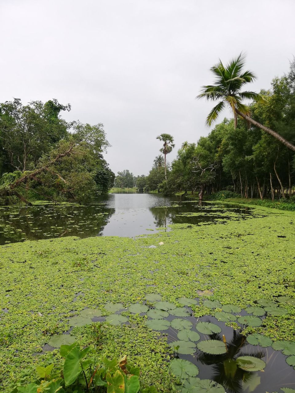Photo of Mahishadal RajBari, Garh Kamalpur, West Bengal, India by Biswadip Chattopadhyay