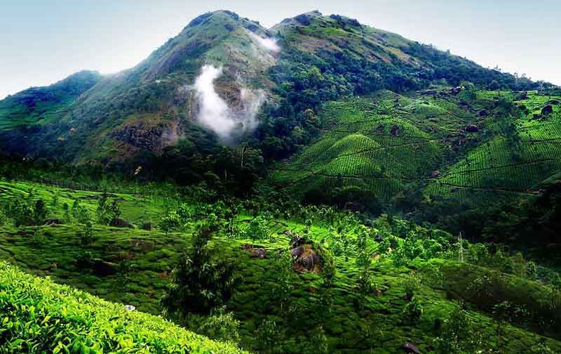 Photo of LESS EXPLORED AMAZEMENT'S IN AND AROUND THEKKADY 1/9 by Holiday mango travel