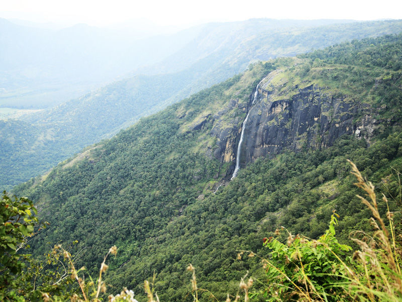 Photo of LESS EXPLORED AMAZEMENT'S IN AND AROUND THEKKADY 4/9 by Holiday mango travel