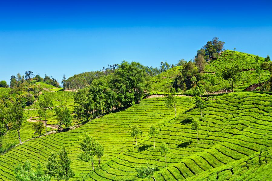 Photo of Spend your summer on Hills| dreamholidays 6/6 by Dream Holidays