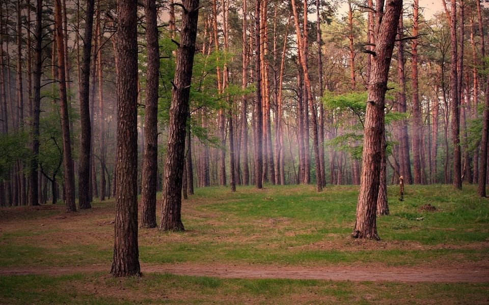 Photo of Spend your summer on Hills| dreamholidays 5/6 by Dream Holidays