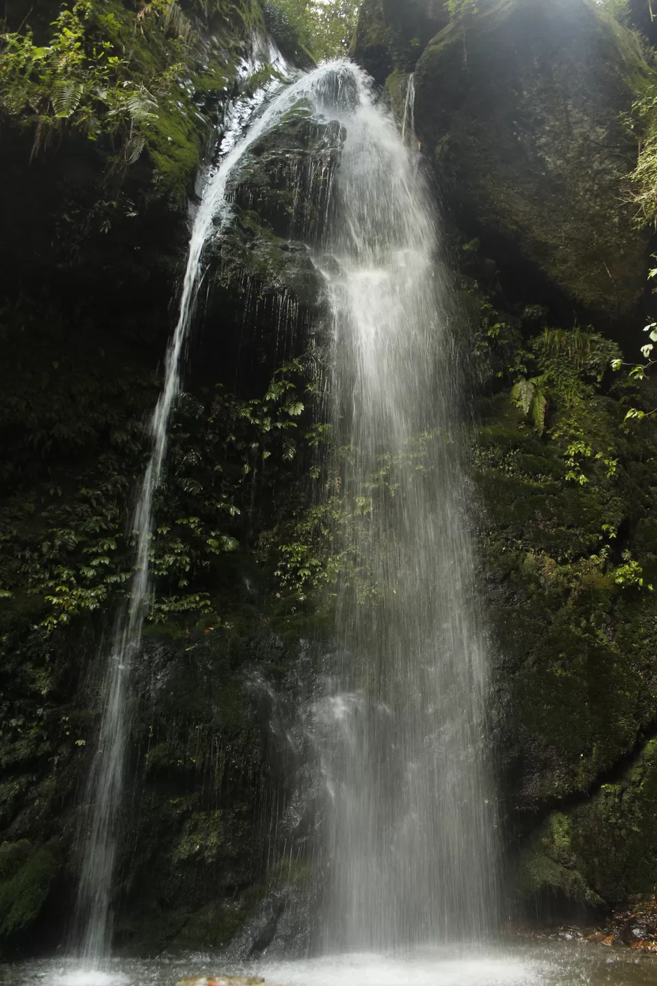 Photo of Jibhi, Himachal Pradesh, India by Mohit Jha