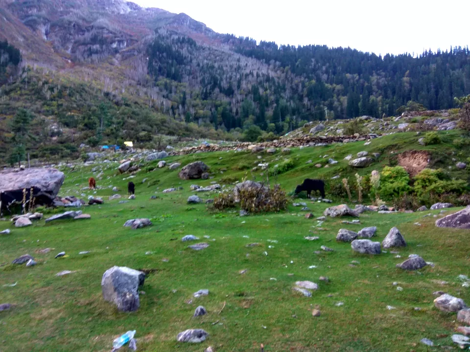 Photo of Kheer Ganga Trek, Khir Ganga, Himachal Pradesh, India by Mohit Jha