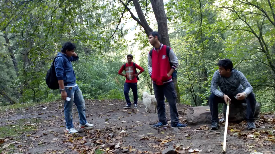 Photo of Kheer Ganga Trek, Khir Ganga, Himachal Pradesh, India by Mohit Jha