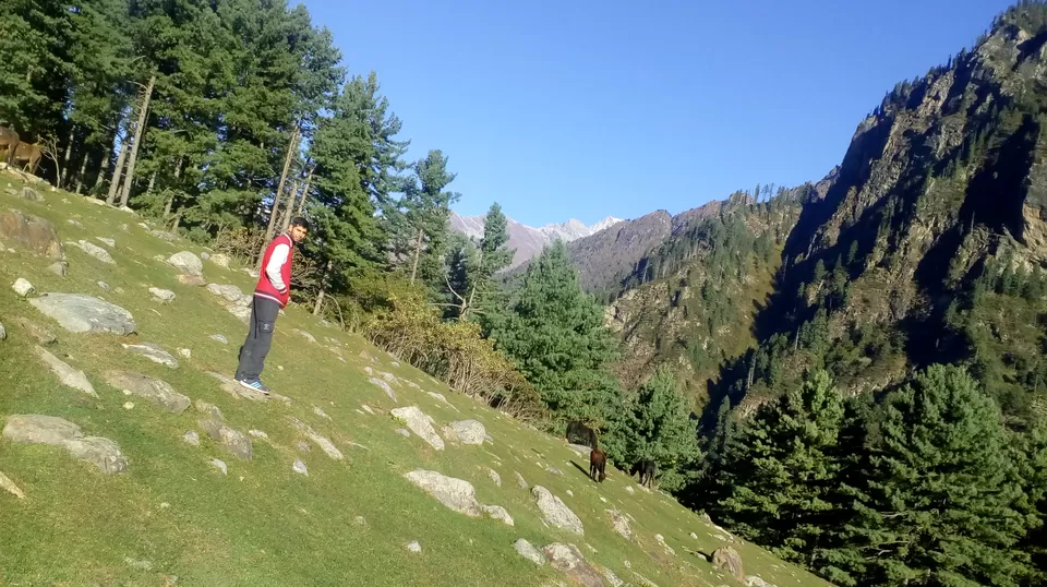 Photo of Kheer Ganga Trek, Khir Ganga, Himachal Pradesh, India by Mohit Jha