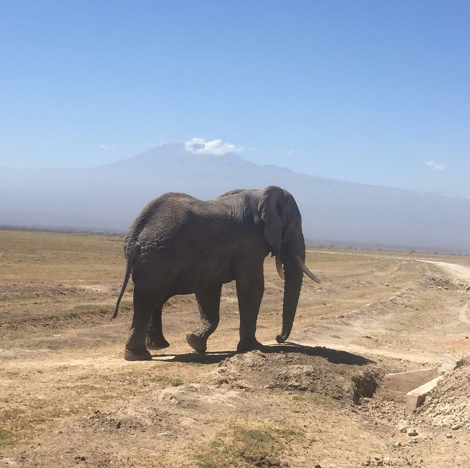 Photo of Kenya by Avishek