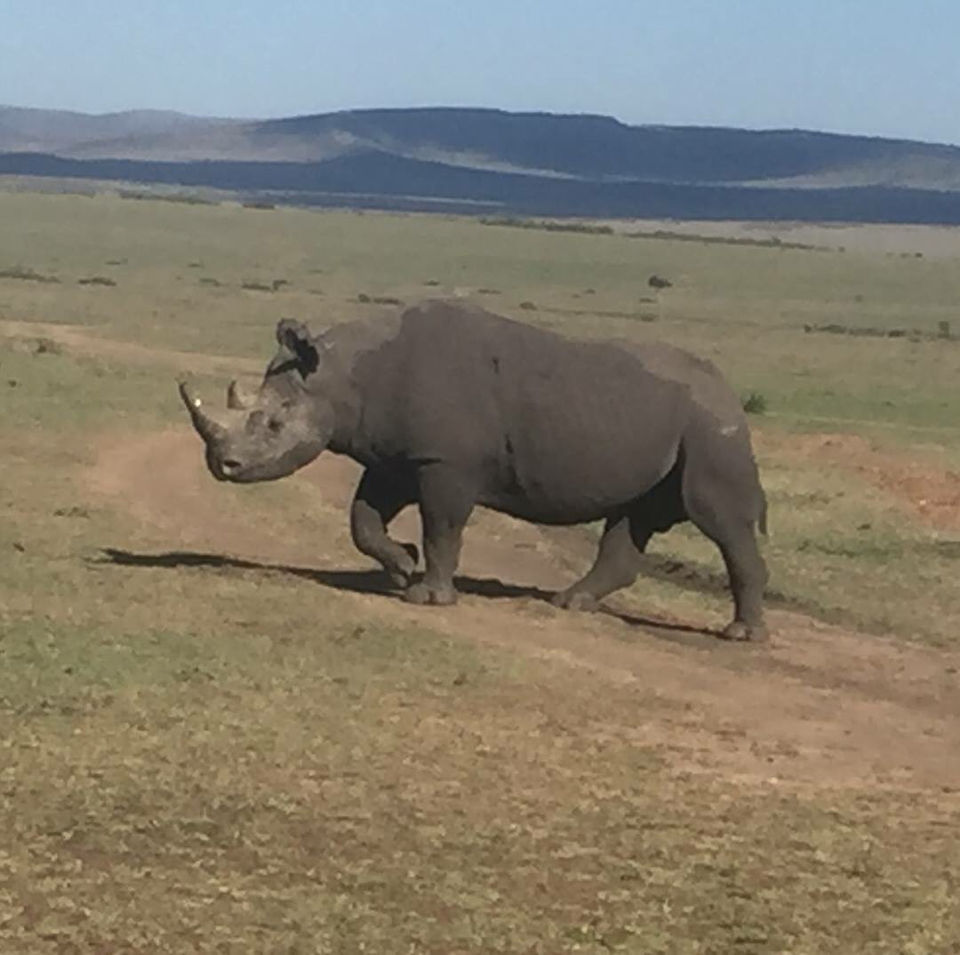 Photo of Kenya by Avishek