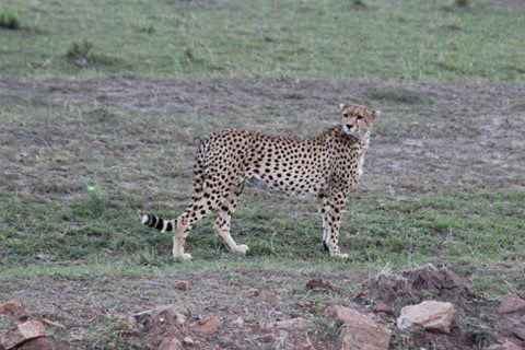 Photo of Kenya by Avishek