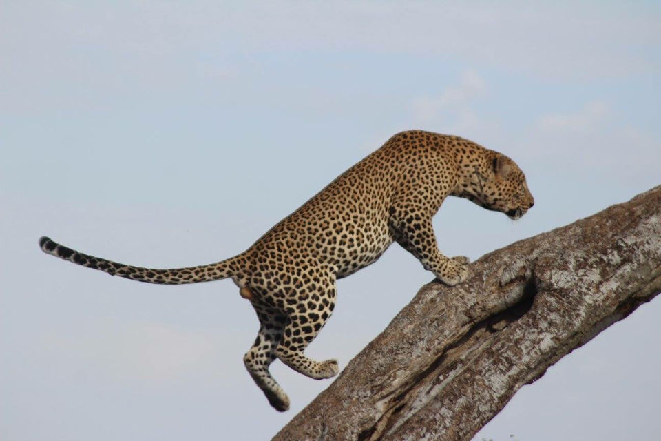Photo of Kenya by Avishek