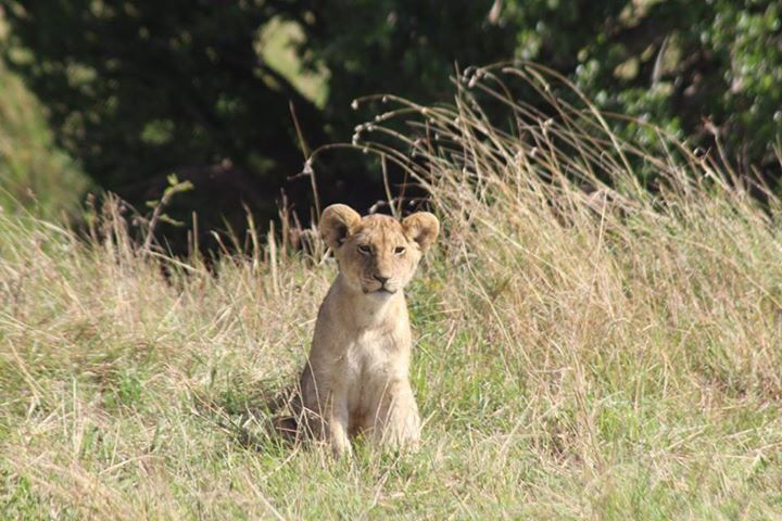 Photo of Kenya by Avishek