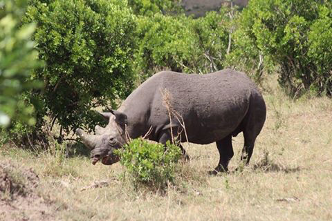 Photo of Kenya by Avishek