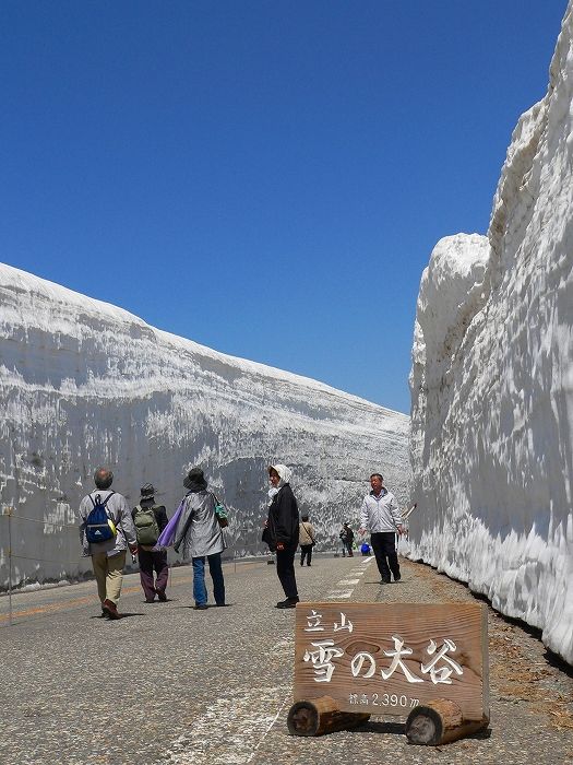 Photo of Snow Corridor, Tateyama, Toyama Prefecture, Japan by mainak biswas