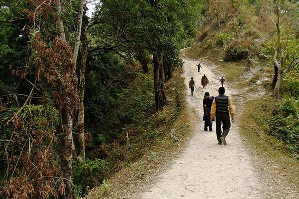 Photo of BUXA LEPCHAKHA TREK 2/29 by Sourav Ganguly