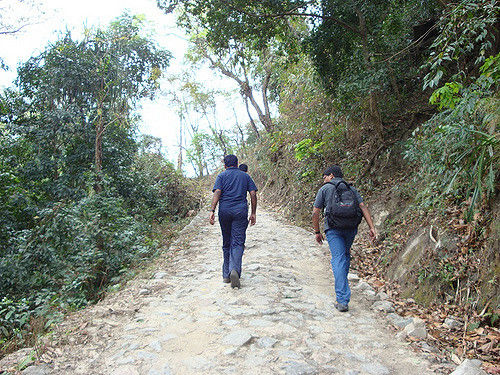 Photo of BUXA LEPCHAKHA TREK 9/29 by Sourav Ganguly