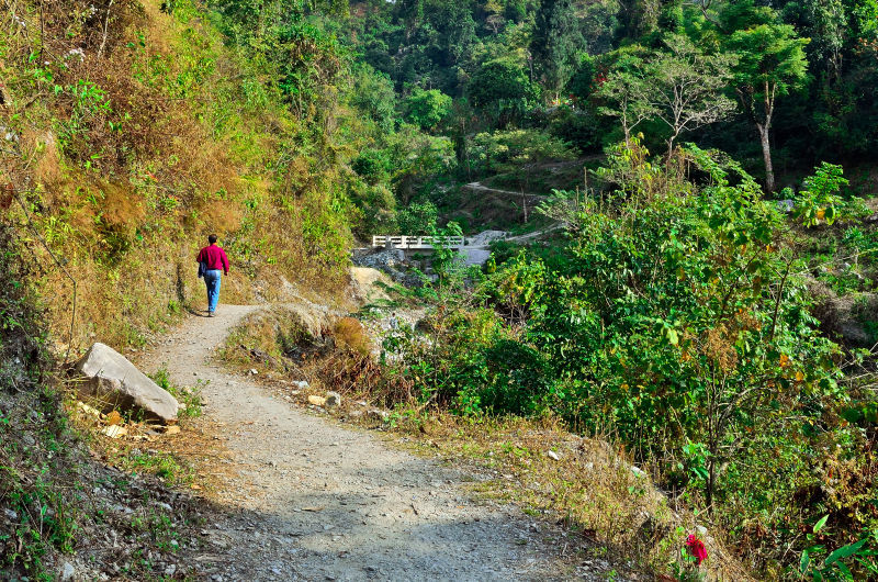 Photo of BUXA LEPCHAKHA TREK 14/29 by Sourav Ganguly