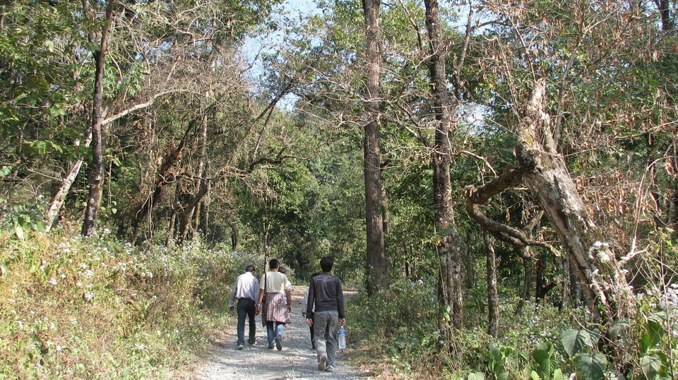 Photo of BUXA LEPCHAKHA TREK 26/29 by Sourav Ganguly