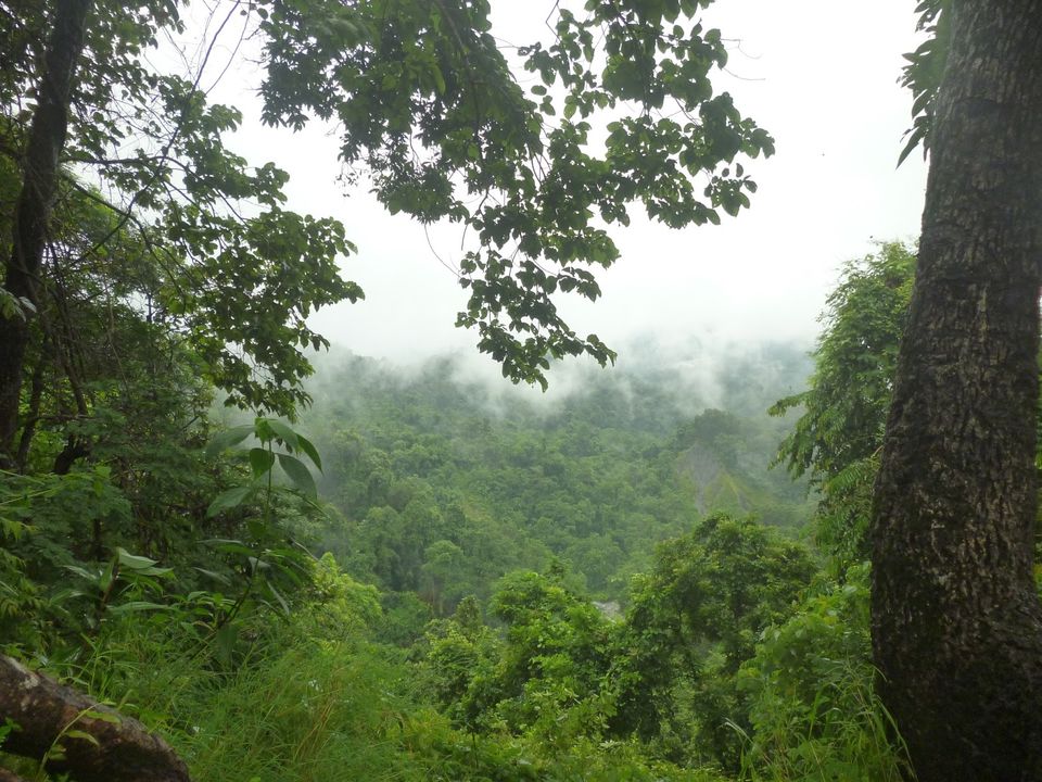 Photo of BUXA LEPCHAKHA TREK 27/29 by Sourav Ganguly