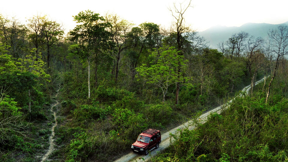 Photo of BUXA LEPCHAKHA TREK 28/29 by Sourav Ganguly
