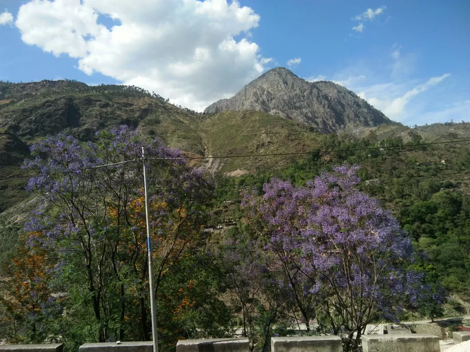 Photo of Jeori, Himachal Pradesh, India by The Renegades