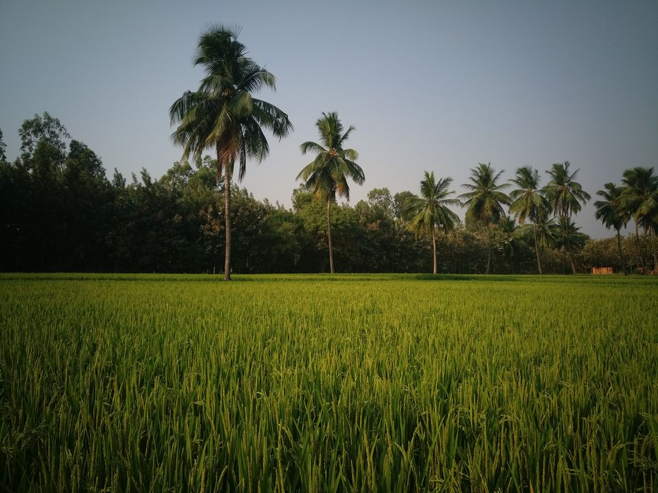 Photo of Hampi by Pallavi Navale