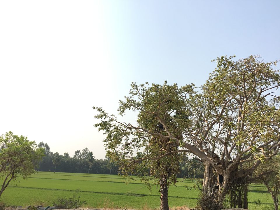 Photo of Hampi by Pallavi Navale