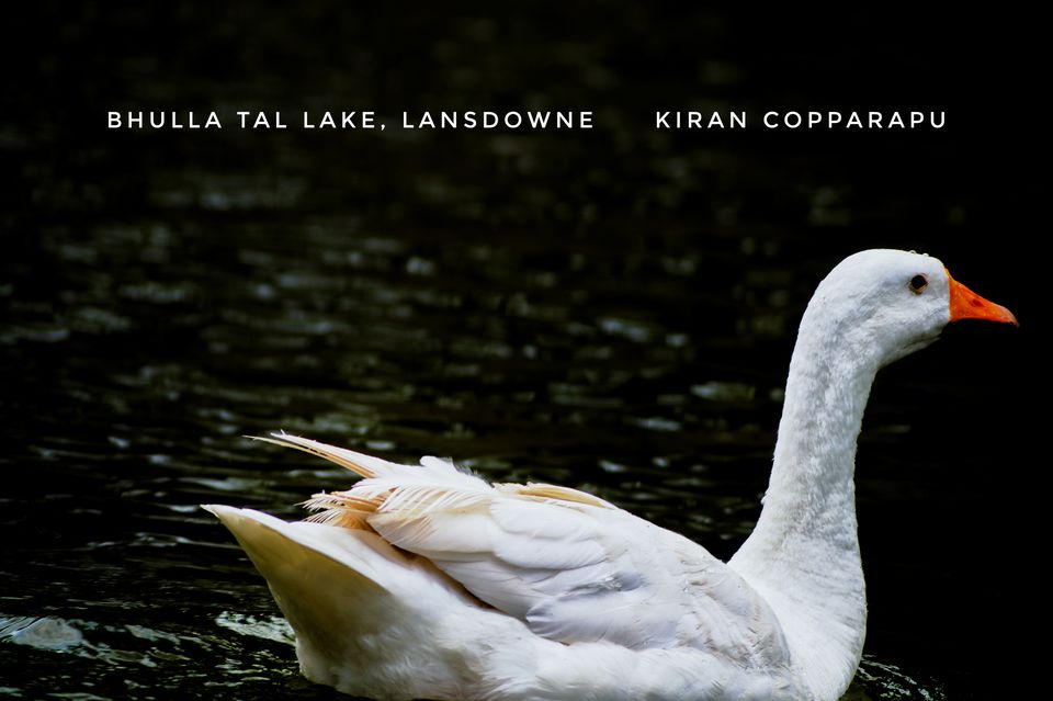 Photo of A Serene LANSDOWNE by Kiran Copparapu