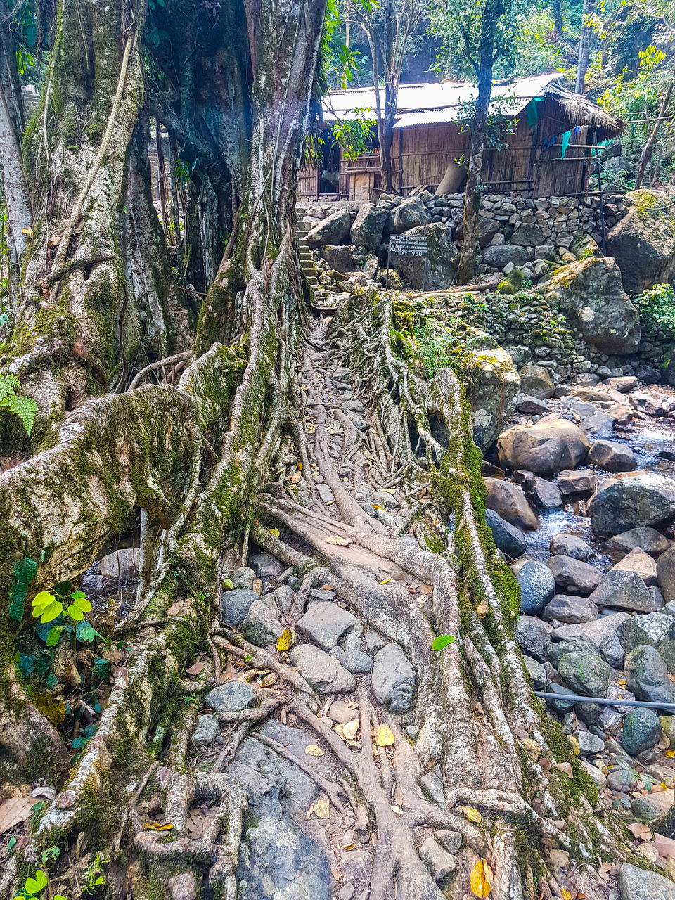 Photo of Cherrapunjee, Meghalaya, India by BISWAJIT SAHA