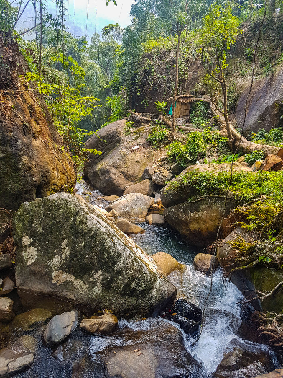 Photo of Cherrapunjee, Meghalaya, India by BISWAJIT SAHA