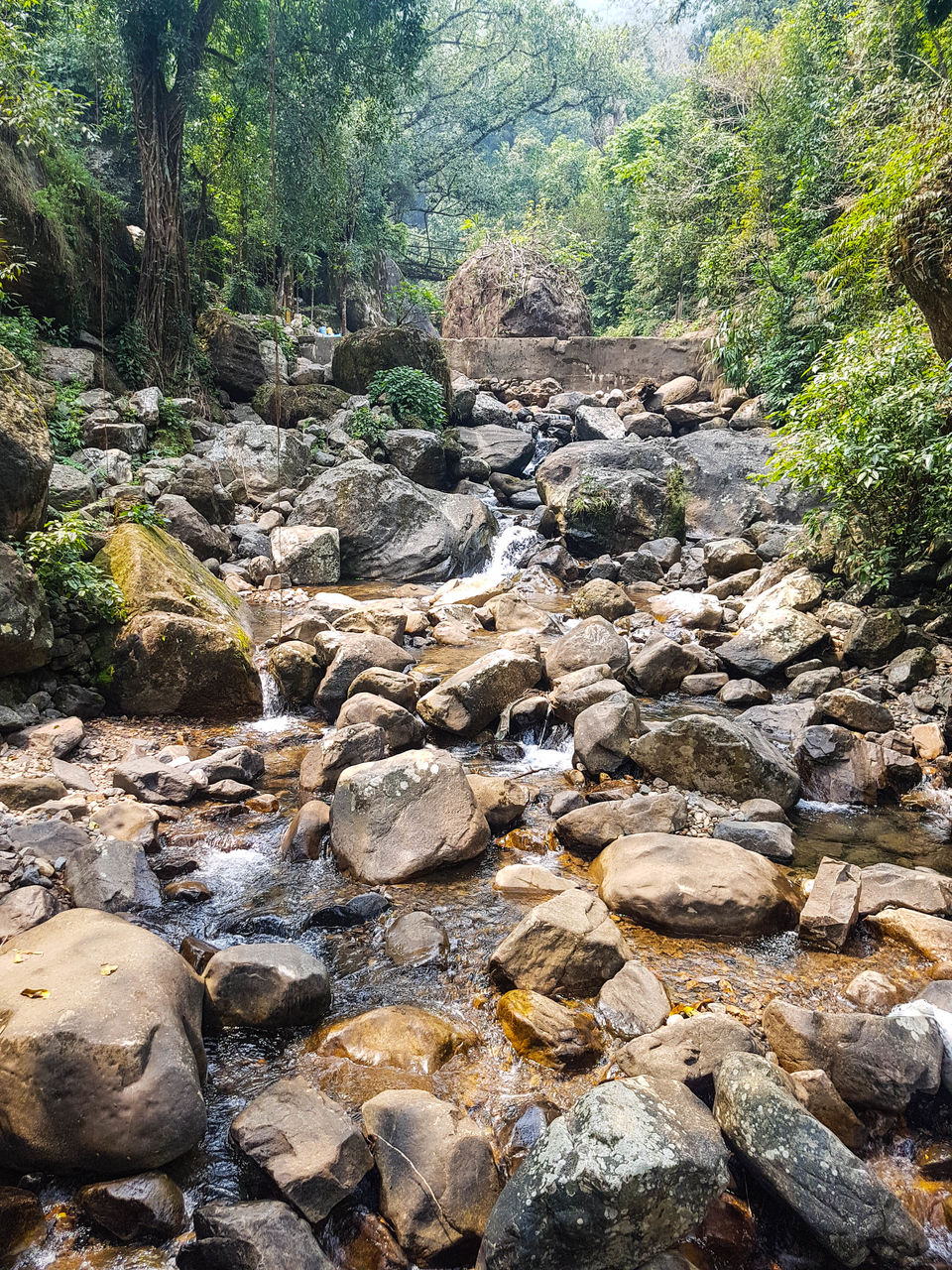 Photo of Cherrapunjee, Meghalaya, India by BISWAJIT SAHA