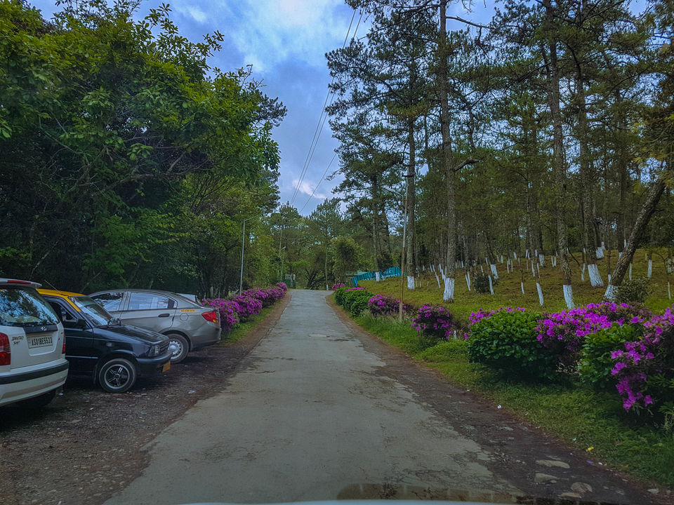 Photo of Mesmerising North- East by BISWAJIT SAHA