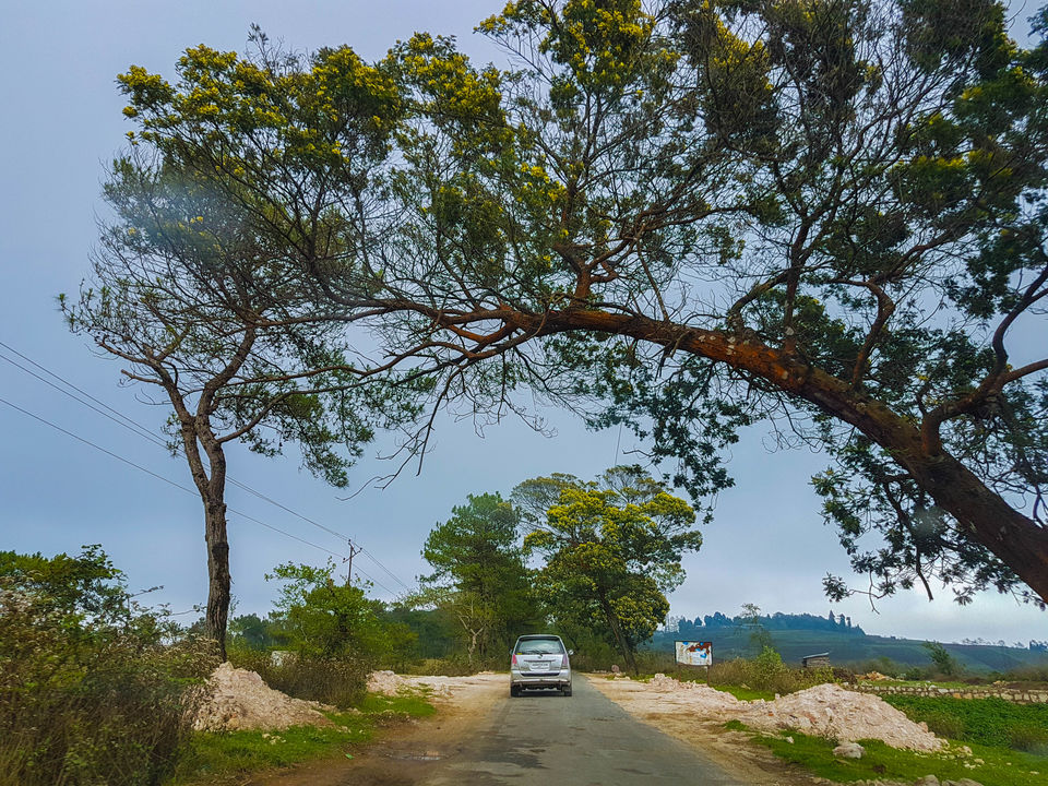 Photo of Mesmerising North- East by BISWAJIT SAHA