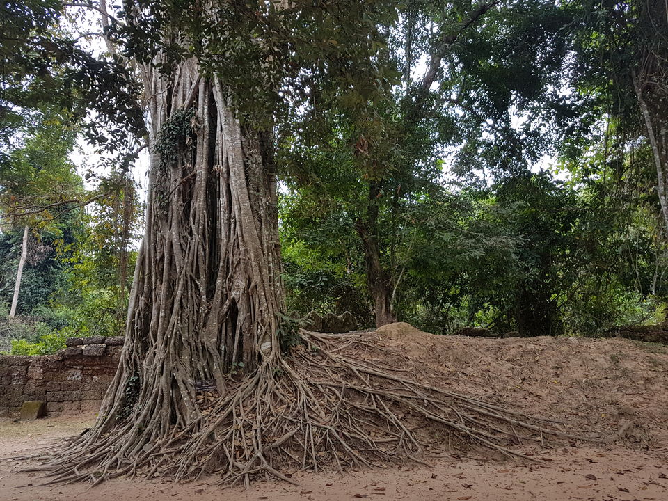 Photo of Angkor Wat, Krong Siem Reap, Cambodia by BISWAJIT SAHA