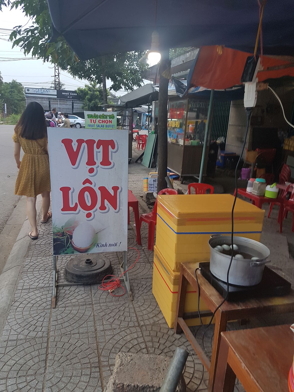 Photo of A Vietnamese Sojourn - 1 week,under 15 K by BISWAJIT SAHA