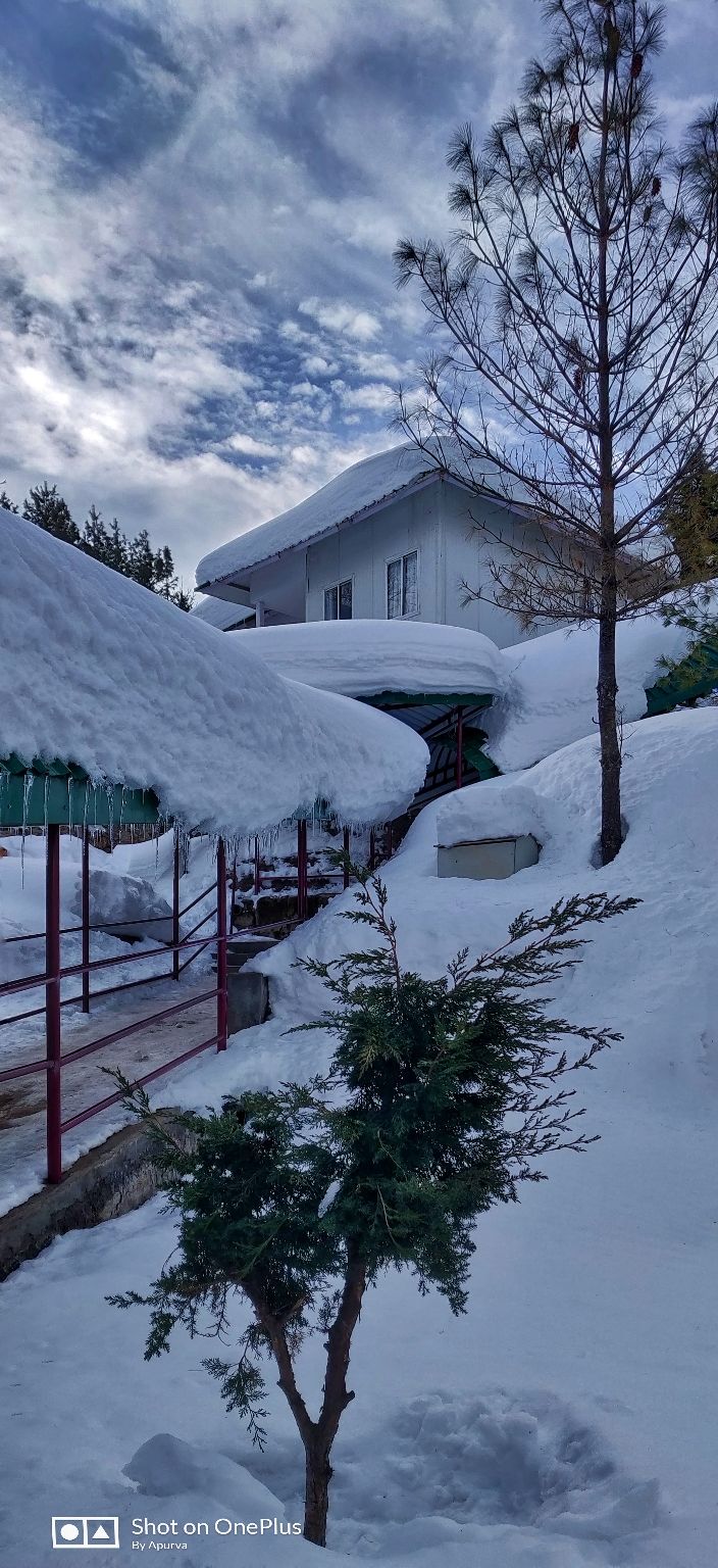 Photo of Auli Laga Joshimath, Uttarakhand, India by Apurva Jain